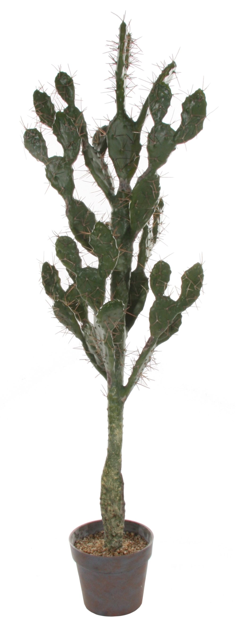 SHISHI Planta decorativa Cactus