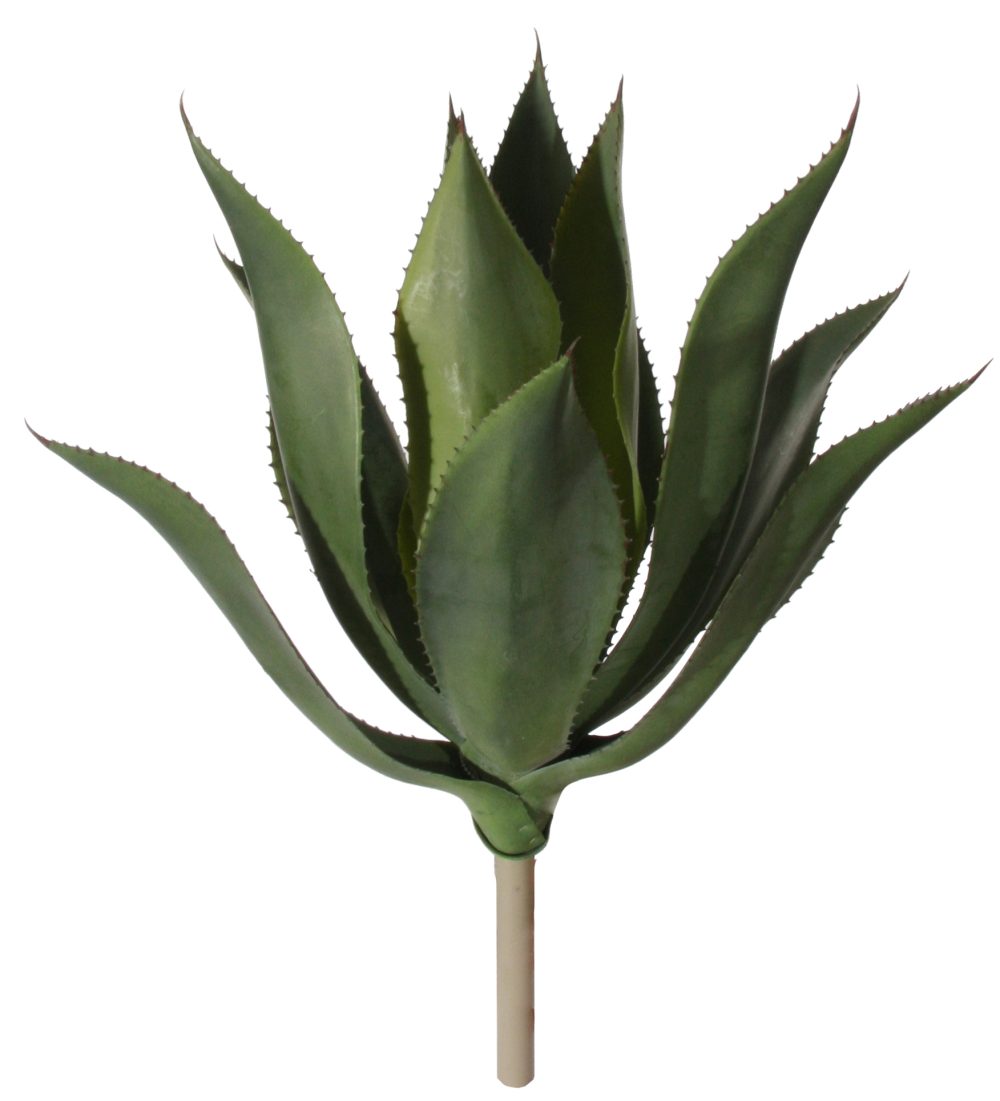 SHISHI Planta decorativa Agave