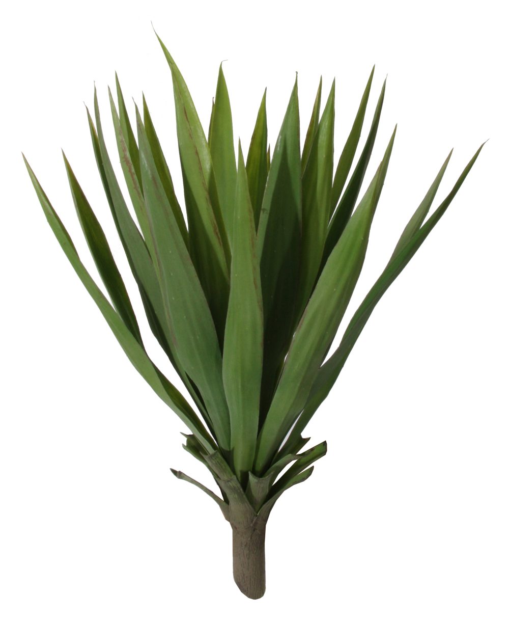 Plantă decorativă AGAVE 60