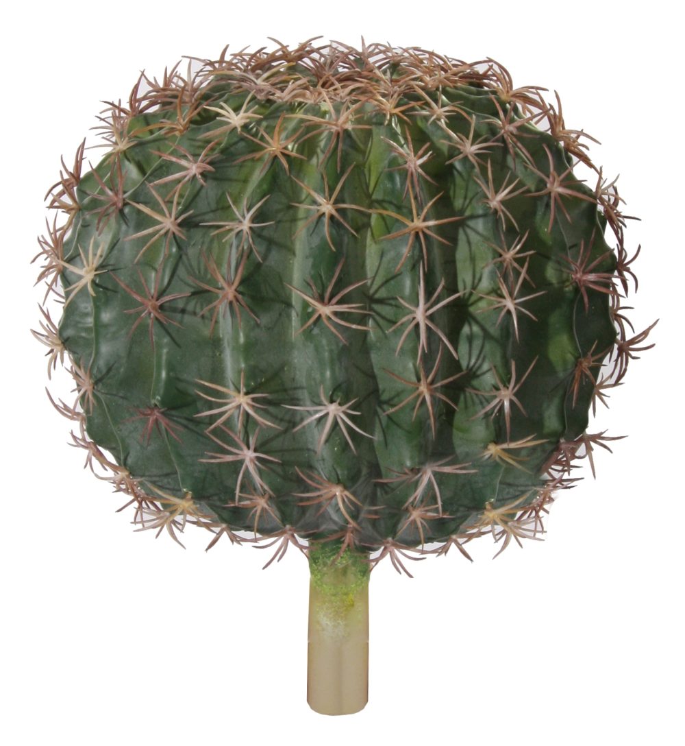 SHISHI Planta decorativa CACTUS ROTUND