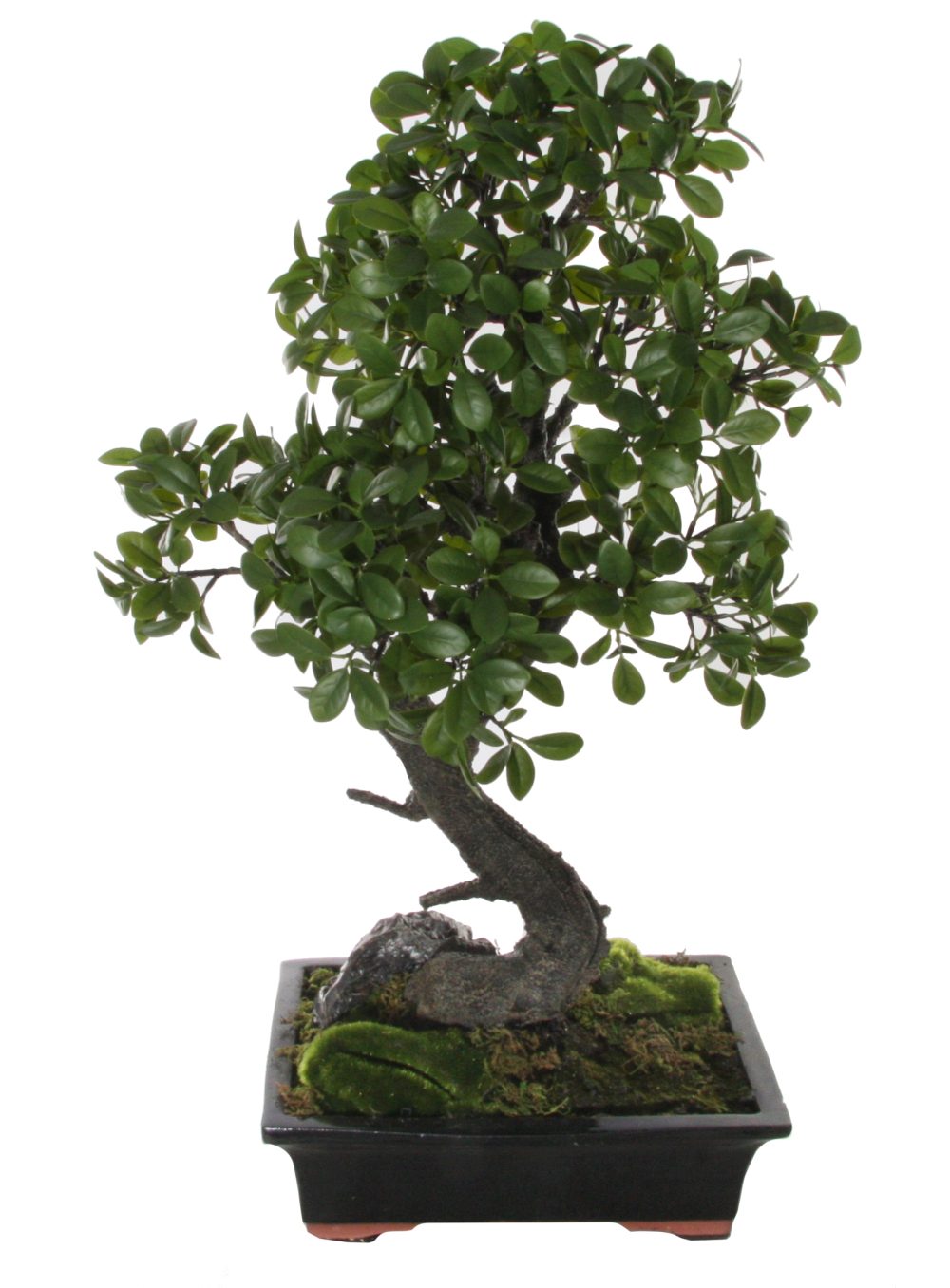 SHISHI Planta decorativa bonsai L