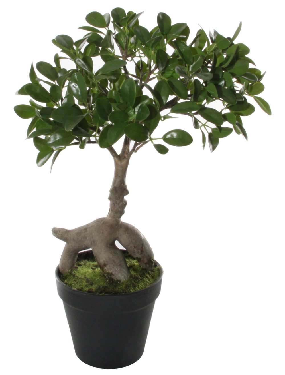 SHISHI Planta decorativa BONSAI M