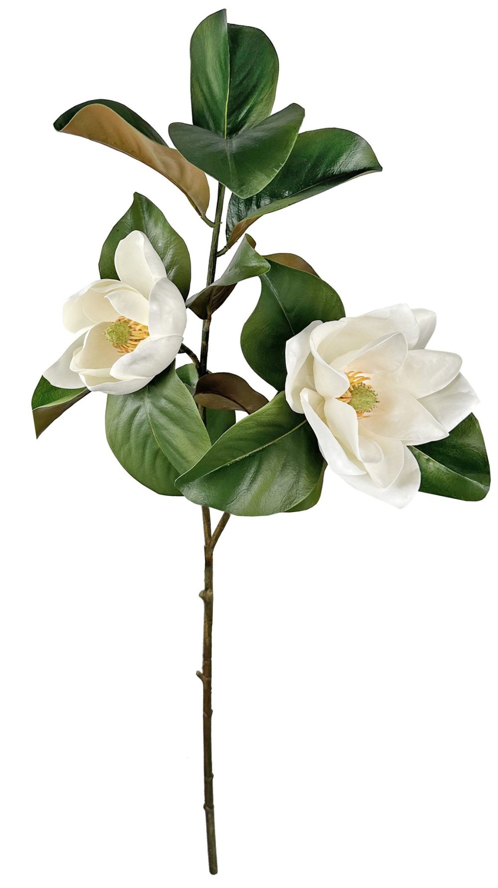 Magnolie inflorita cu tulpina , alb 110cm