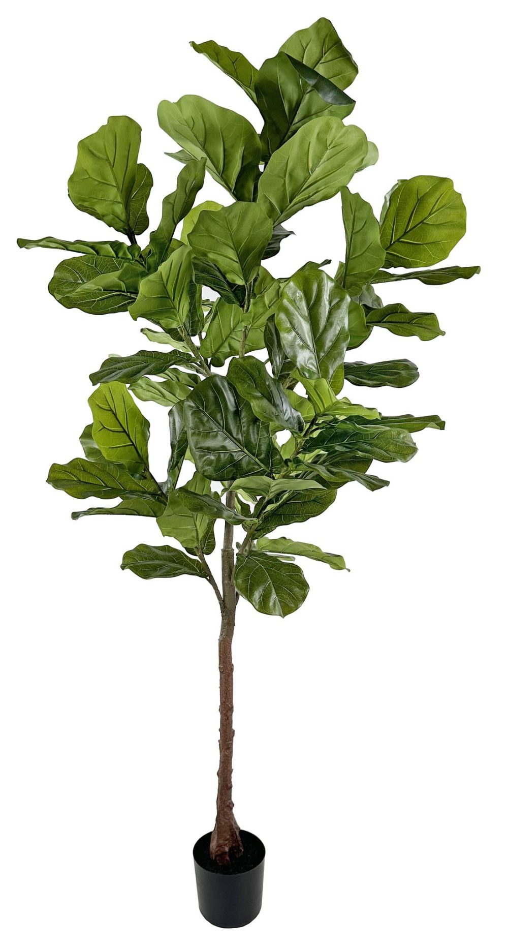 Ficus Lyrata Artificial 225cm