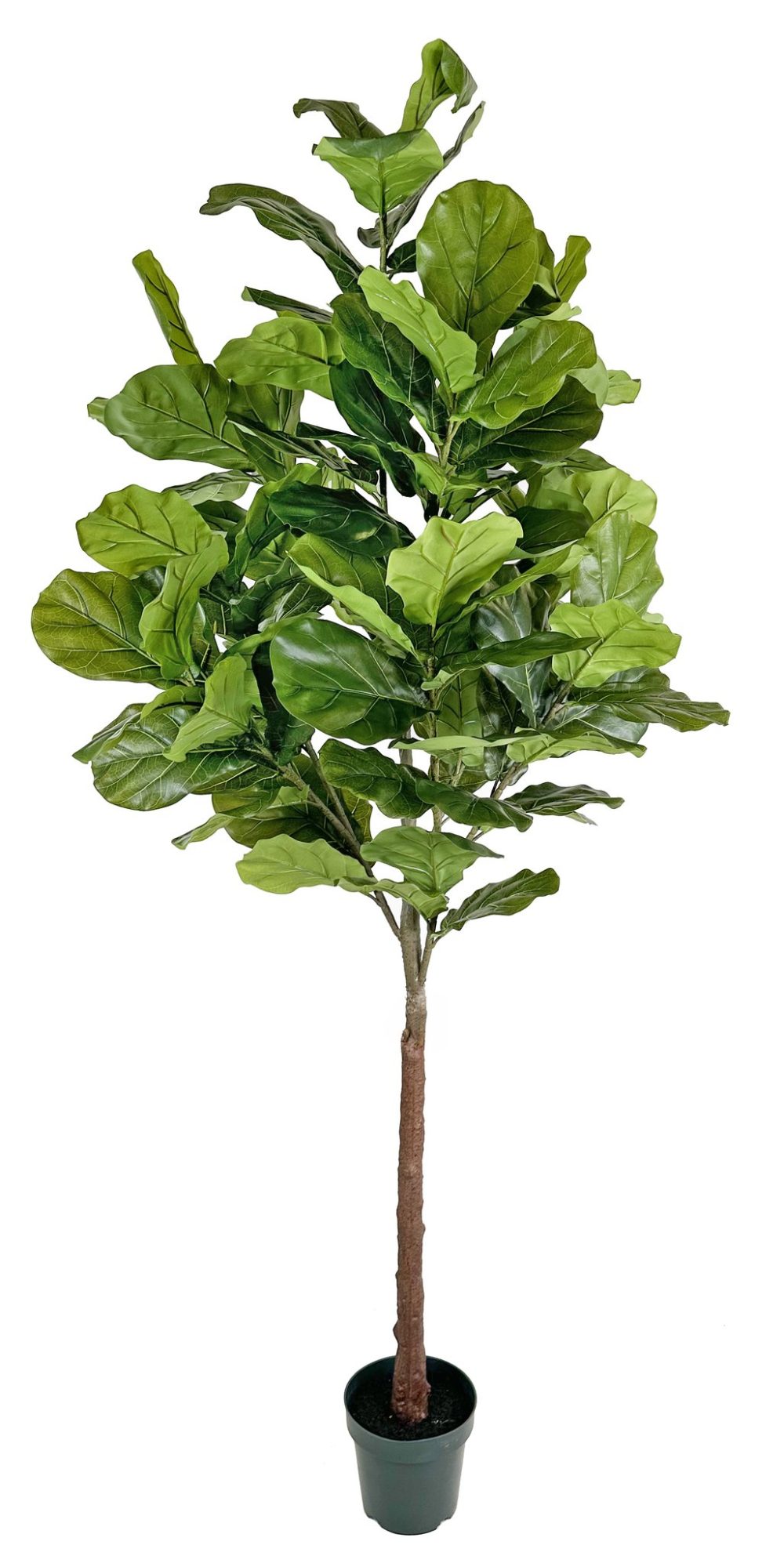 Ficus Lyrata Artificial 255cm