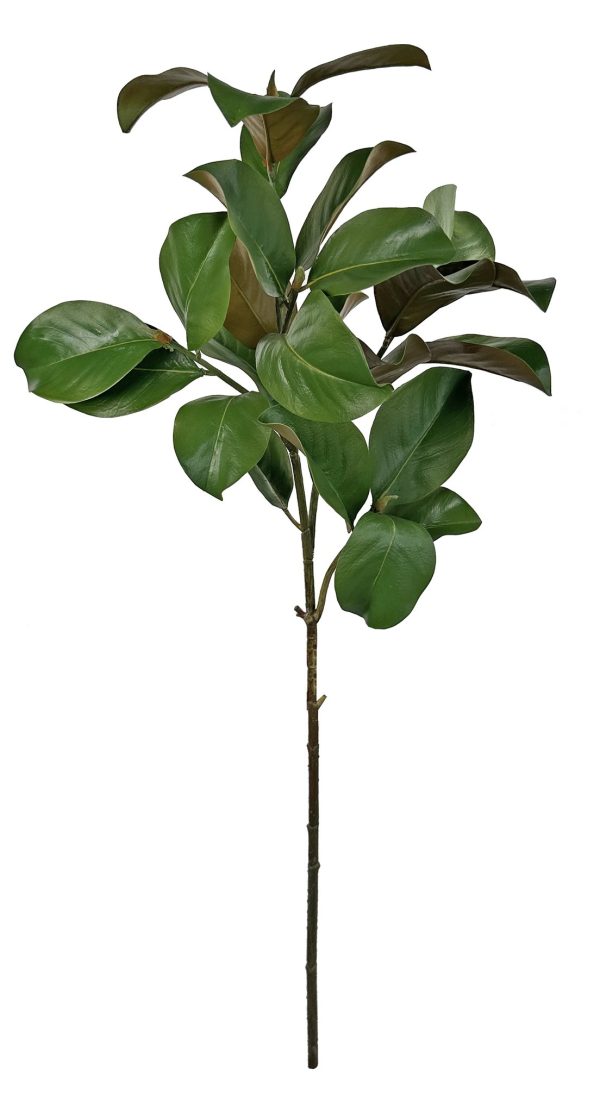 Ramura verde frunze de magnolie 115 cm