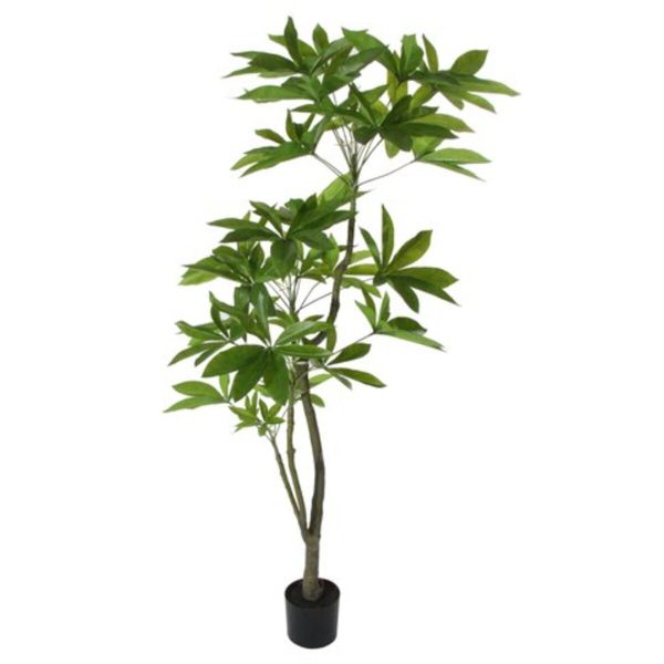 Pachira artificial verde 1,8m